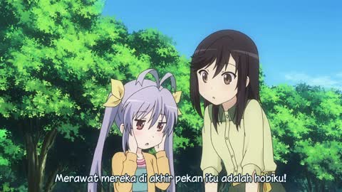 EP 7