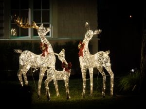 Timer Based Outdoor Lighting Systems Georgetown
