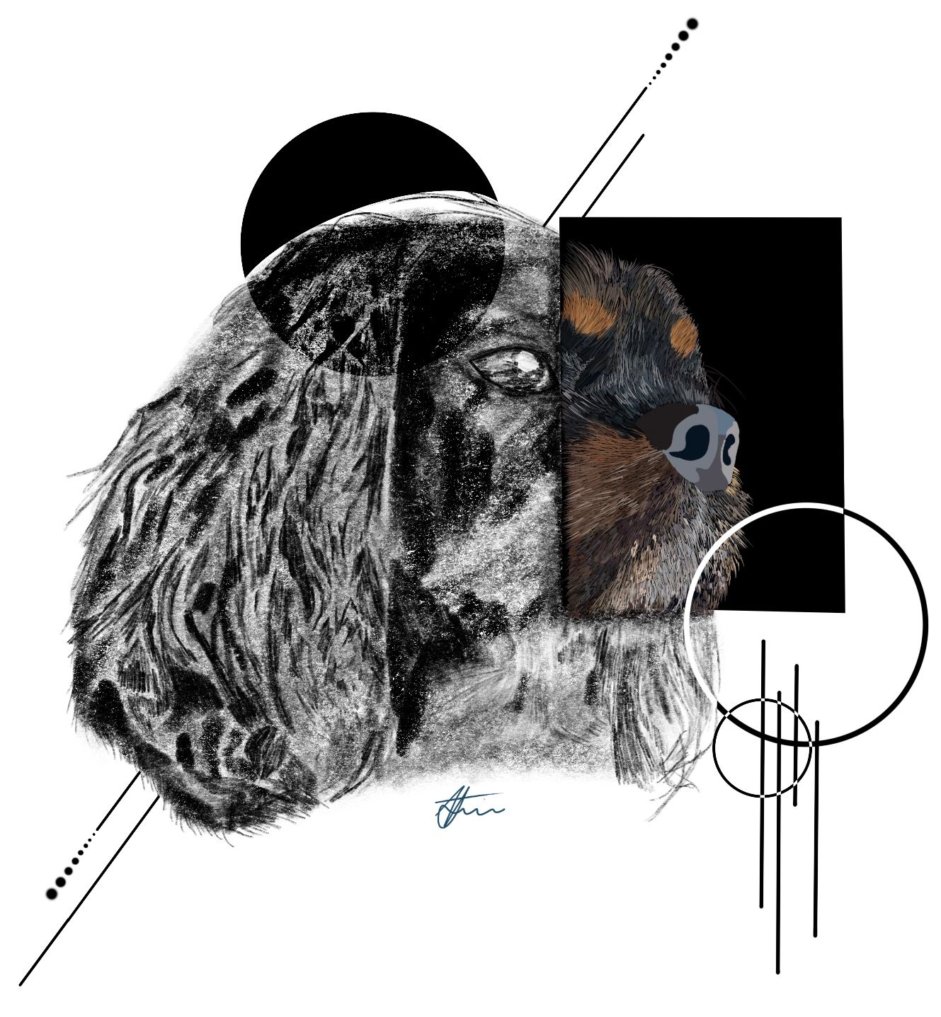 Custom Pet Portrait