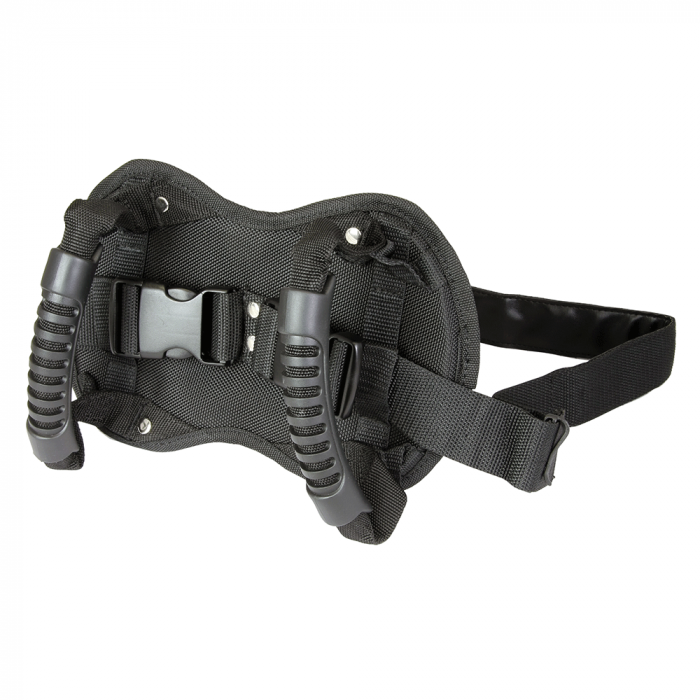 Bike Pillion Buddy Rider Waist Belt