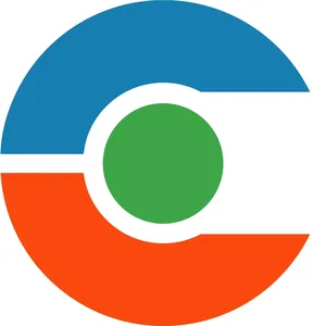 The Car Co