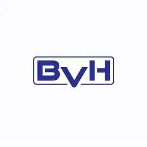BVH Car Sales Ltd