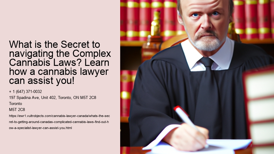What's the secret to getting around Canada's complicated cannabis laws? Find out how a specialist lawyer can assist you!