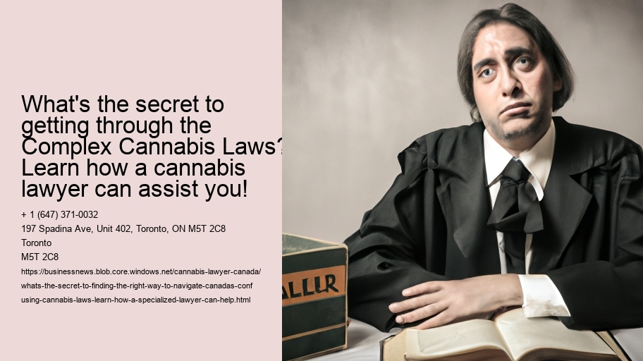What's the secret to finding the right way to navigate Canada's confusing cannabis laws? Learn how a specialized lawyer can help!