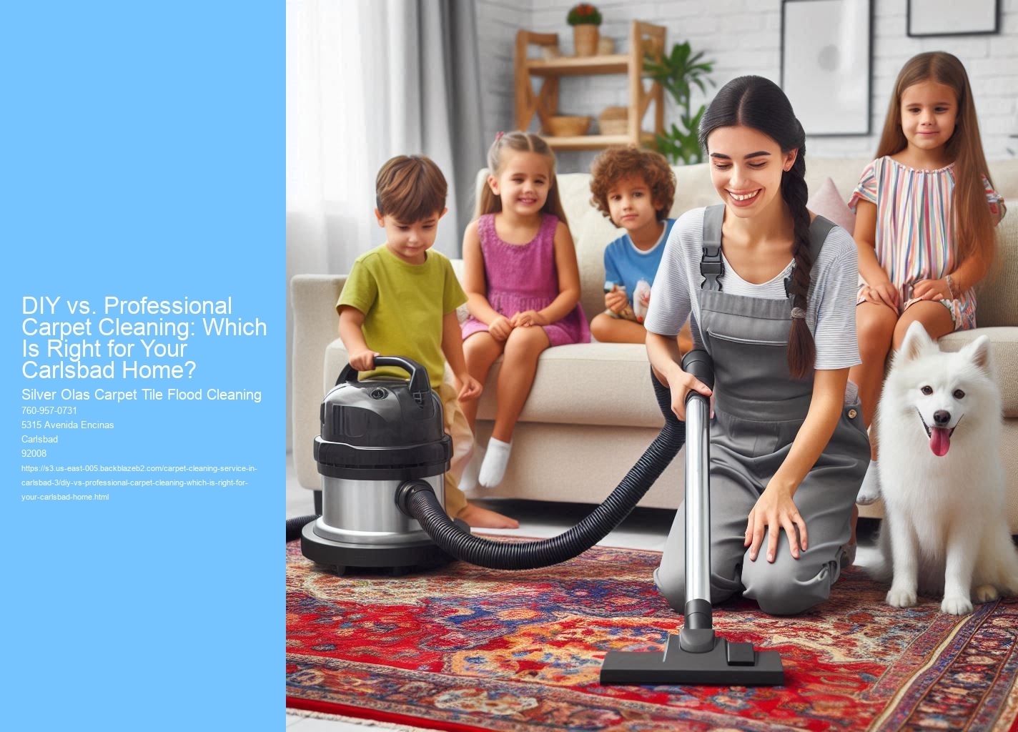 DIY vs. Professional Carpet Cleaning: Which Is Right for Your Carlsbad Home?