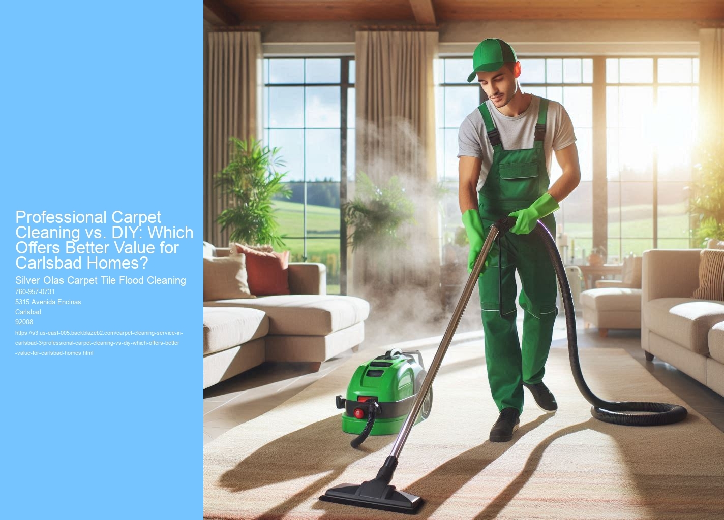 Professional Carpet Cleaning vs. DIY: Which Offers Better Value for Carlsbad Homes?
