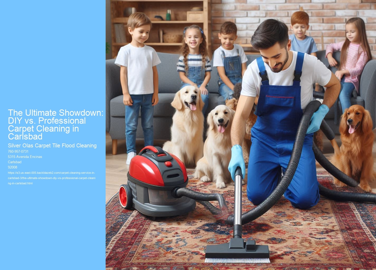 The Ultimate Showdown: DIY vs. Professional Carpet Cleaning in Carlsbad