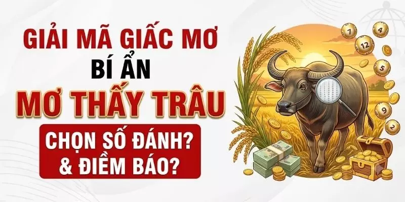 Mơ Thấy Trâu Đánh Con Gì? Giải Mã Chi Tiết