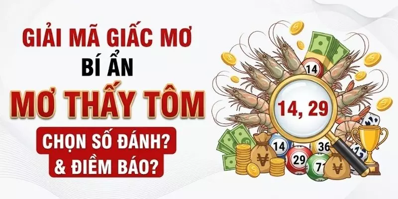 Mơ Thấy Tôm Đánh Con Gì?? Bật Mí Vận May Tài Lộc 