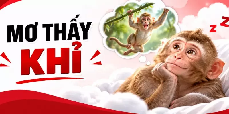 Mơ Thấy Khỉ Đánh Con Gì? Lý Giải Con Số May Mắn Hôm Nay