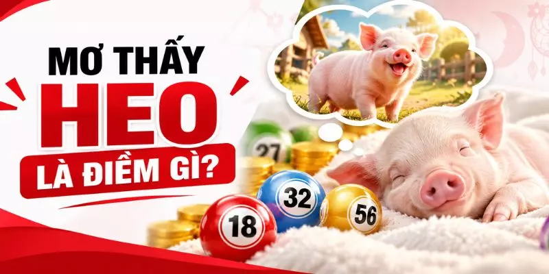 Mơ Thấy Heo Đánh Con Gì? Tổng Hợp Các Con Số May Mắn