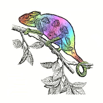 ColorFlex Customize