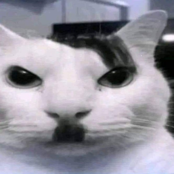 Путя