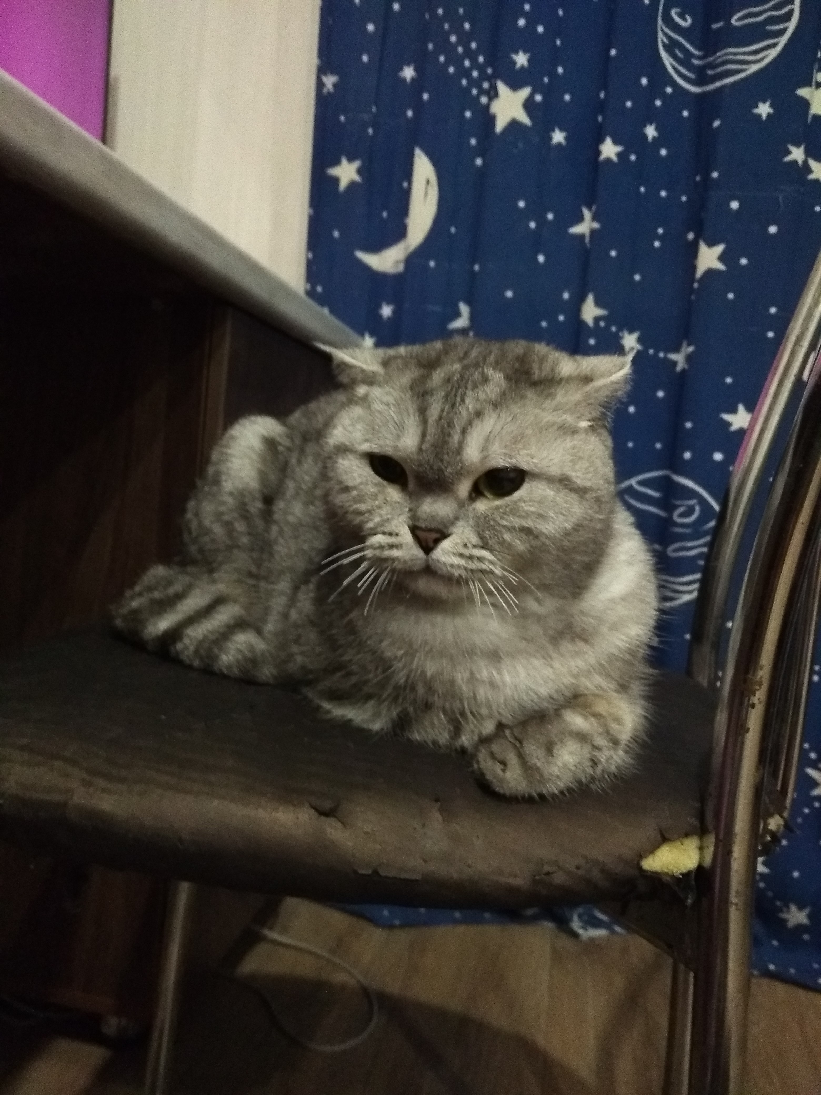 Снежанчик