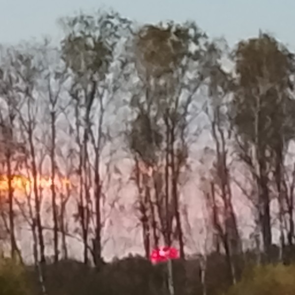 Даша
