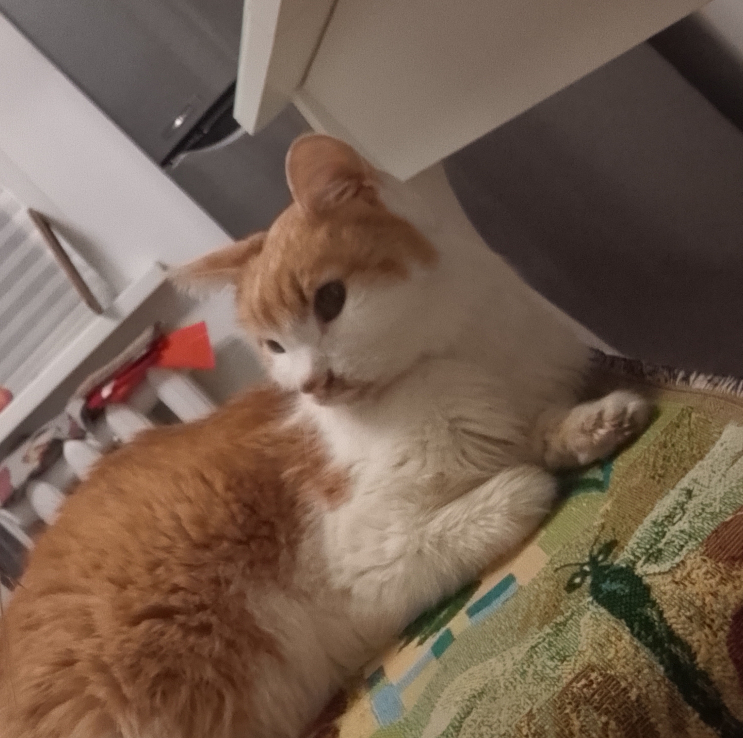 Огонёк ❤️‍🩹