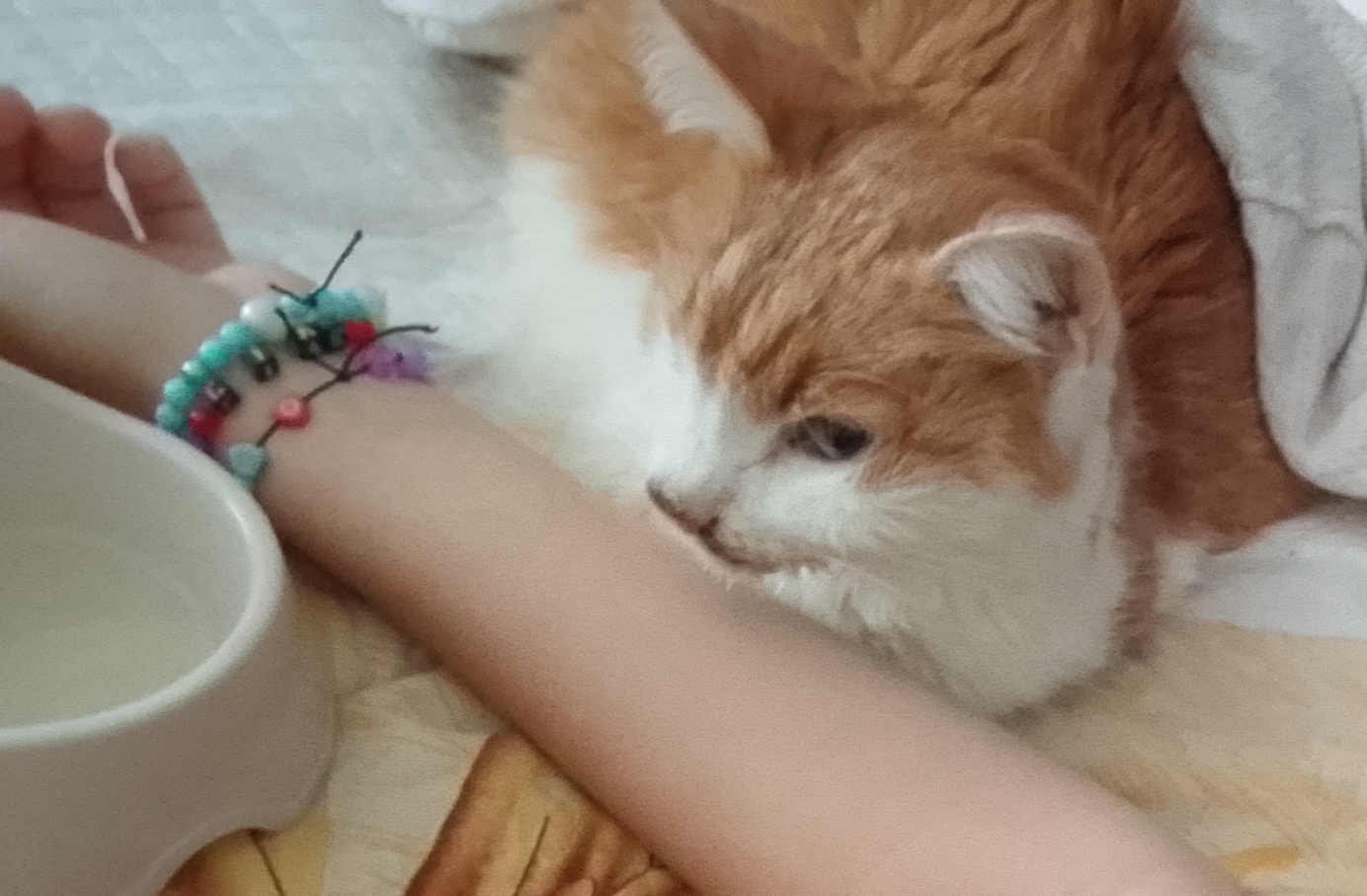 Огонёк ❤️‍🩹