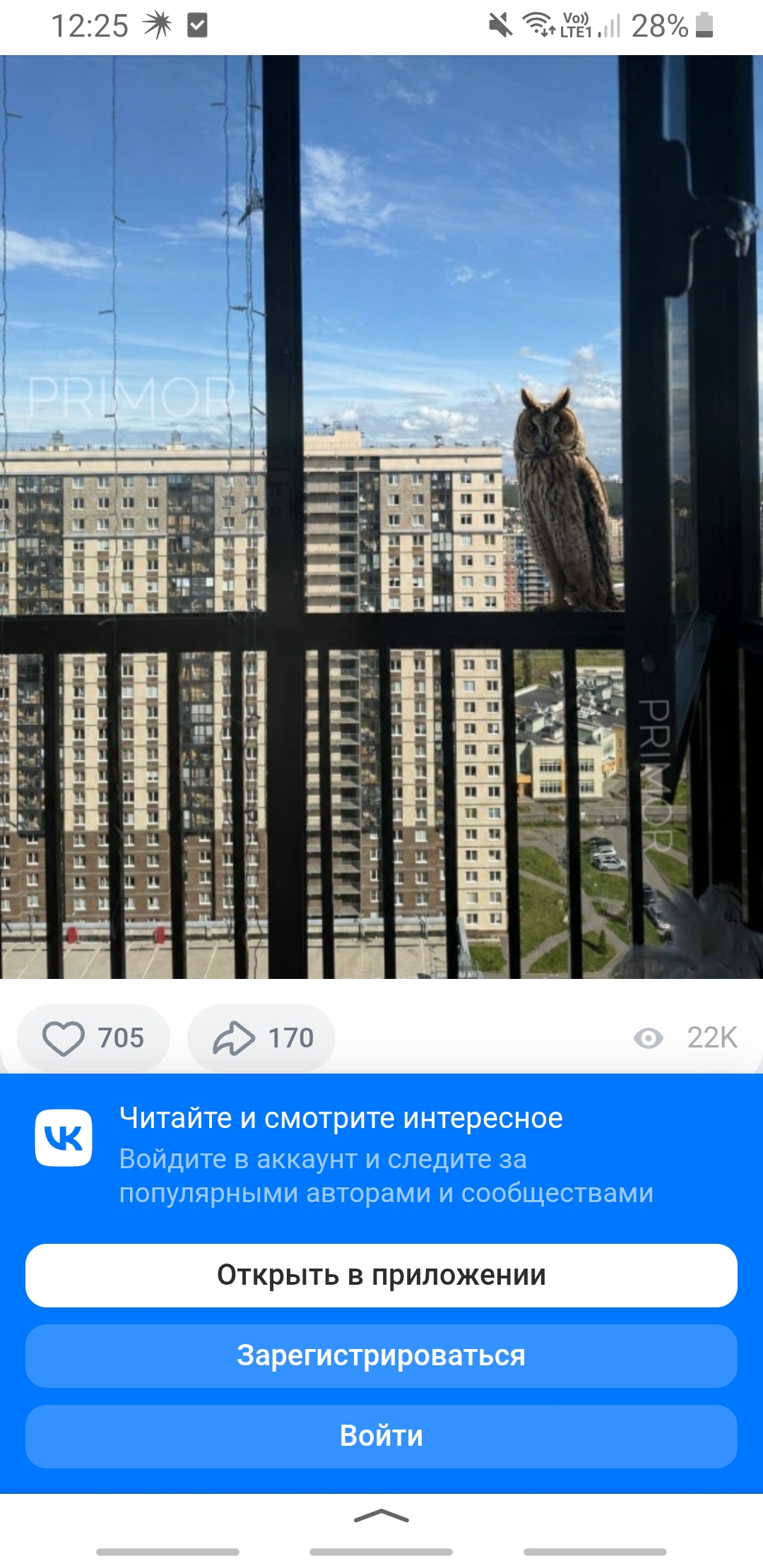 Ника