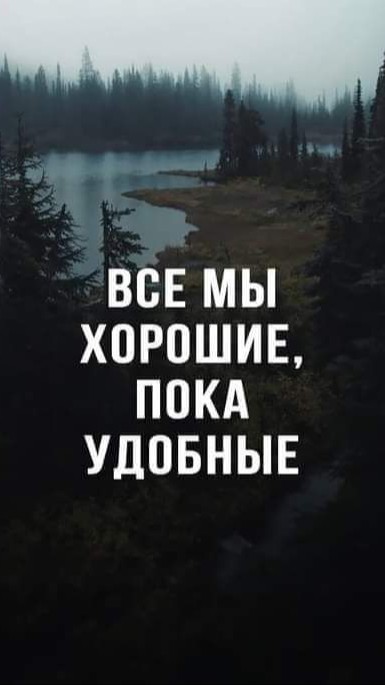 Чат