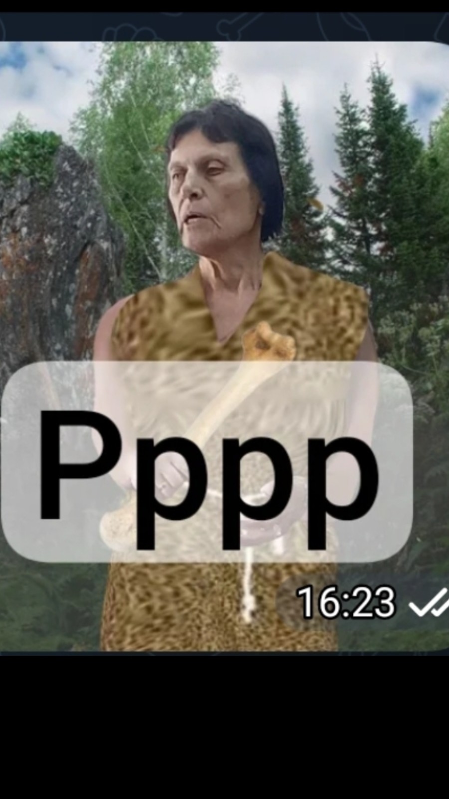 Чат