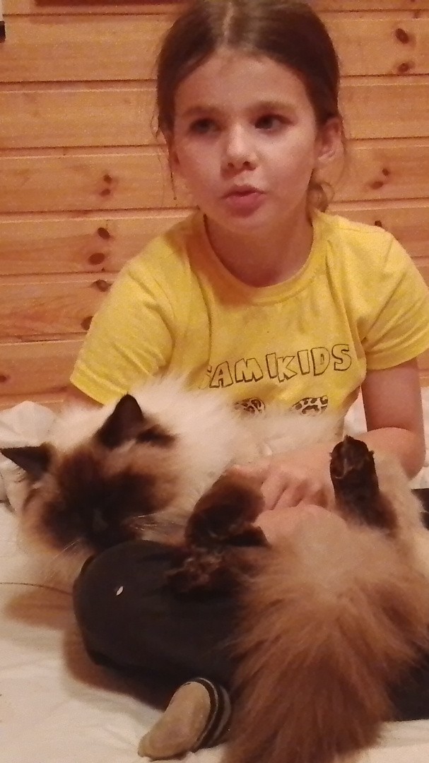Милый 💗котик