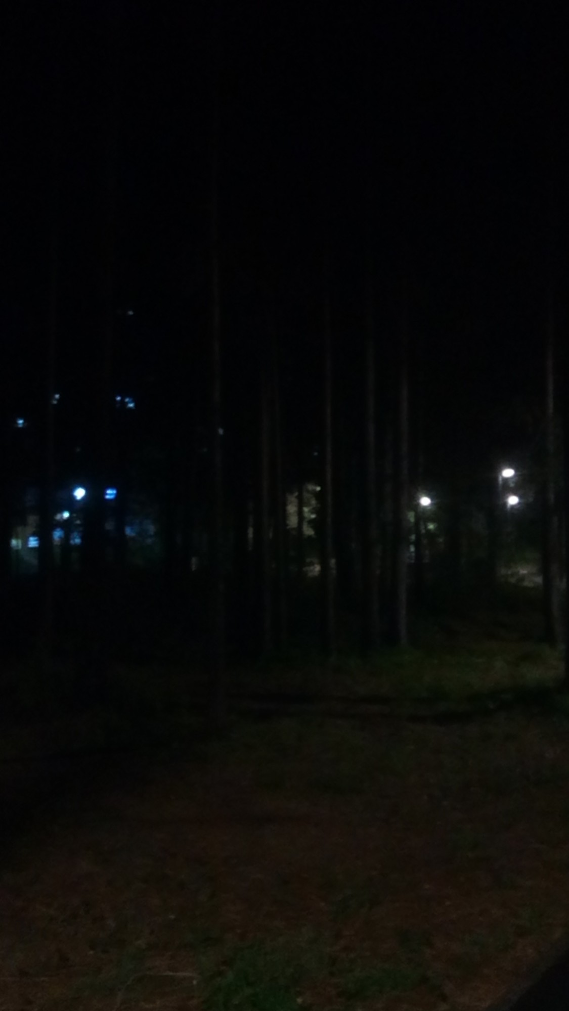 Прогулка в ночном парке)