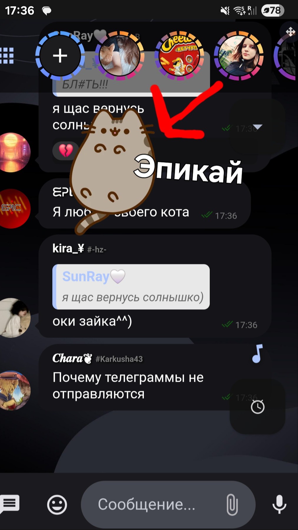 Это мой питомец Эпикай! Я потратила 1000 бонусов (были в 1 сентября)