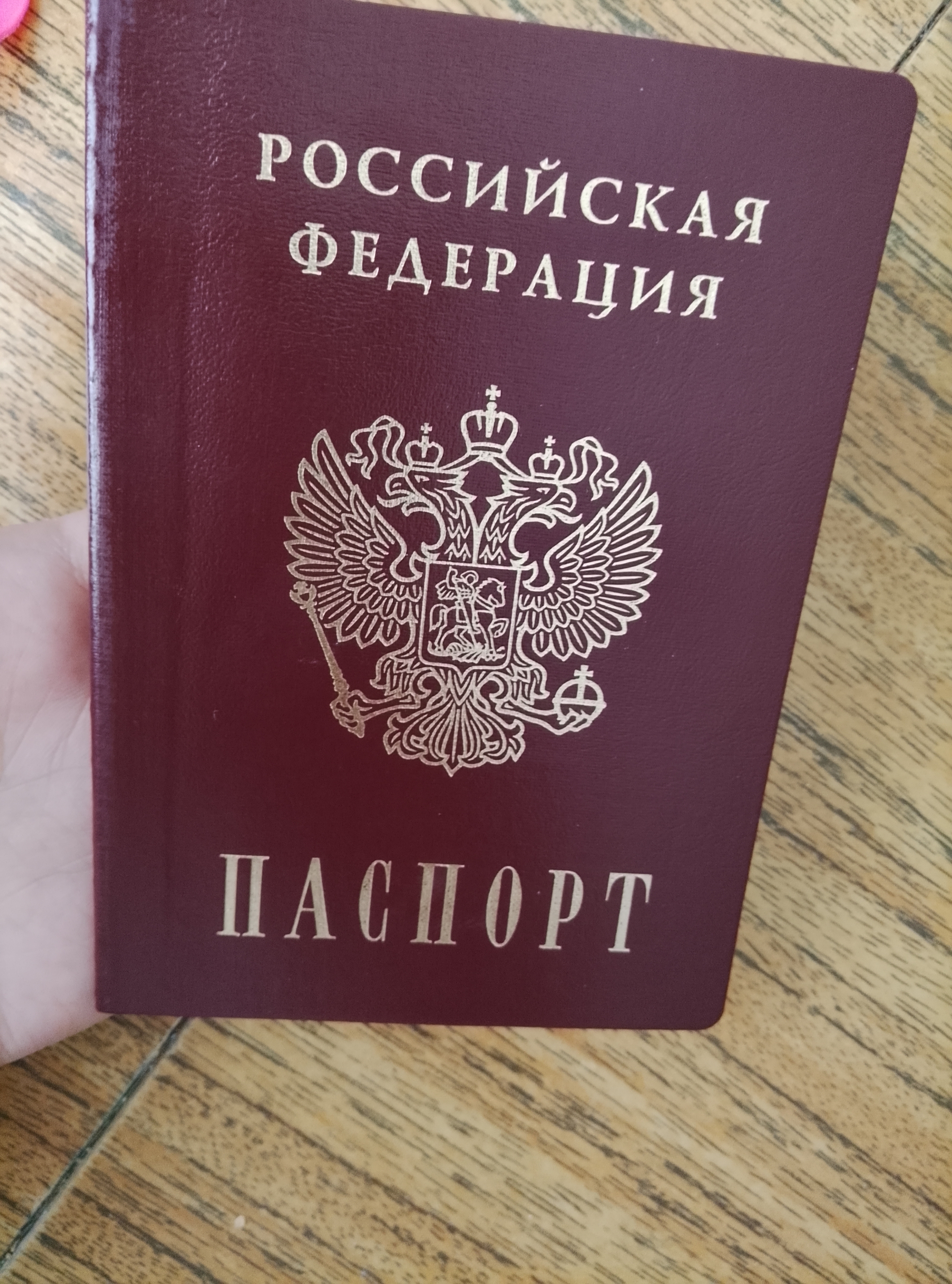 Чат