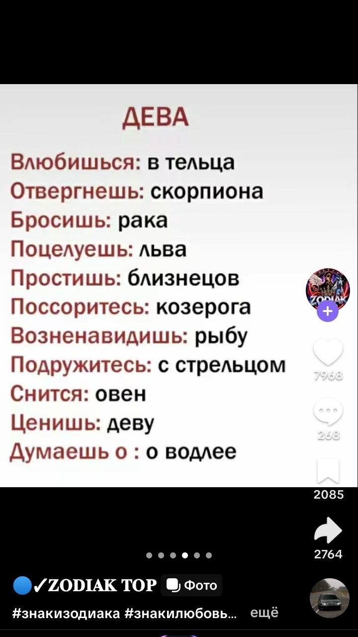 Чат