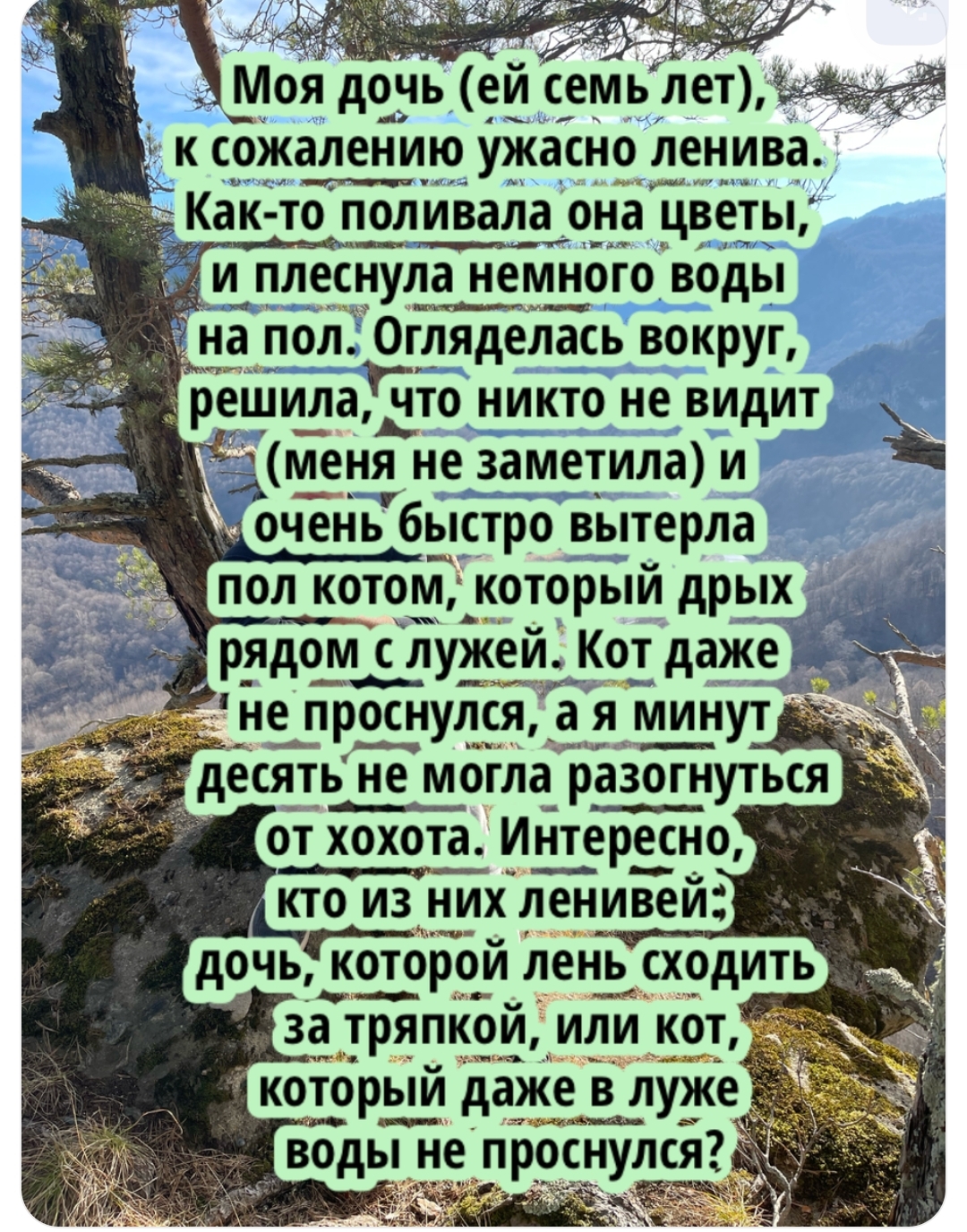 Чат