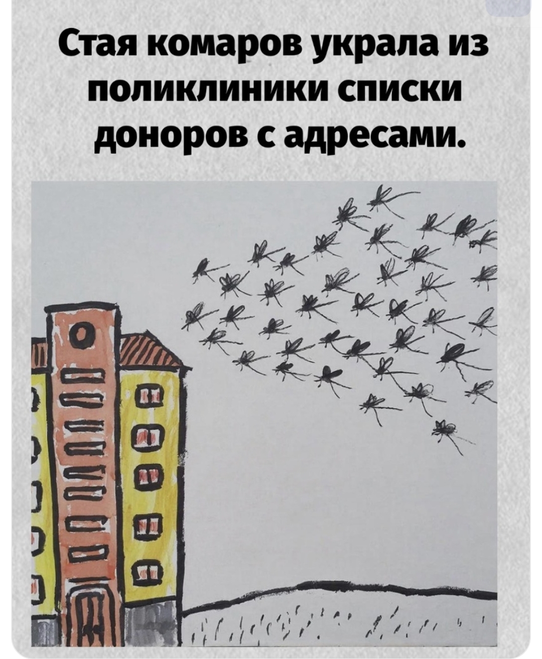 Чат