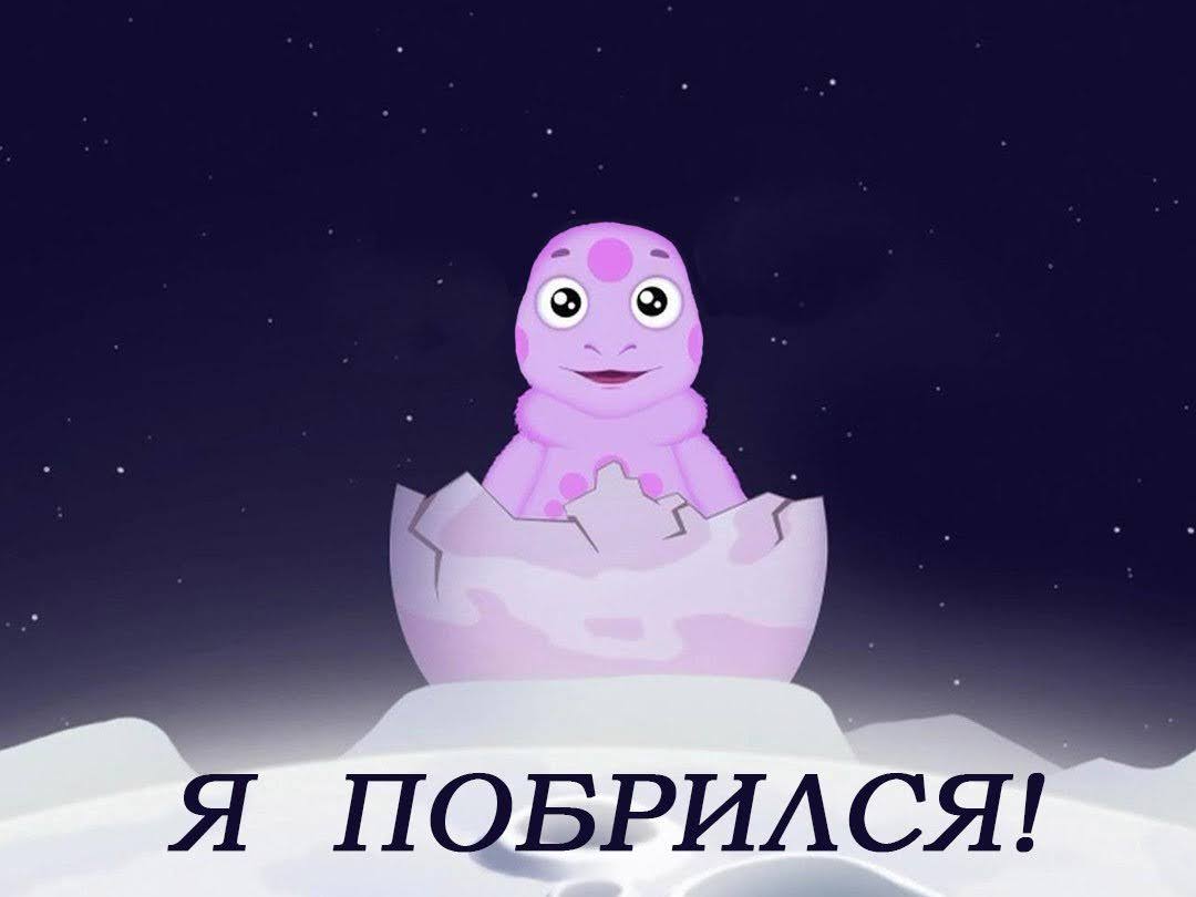 Чат