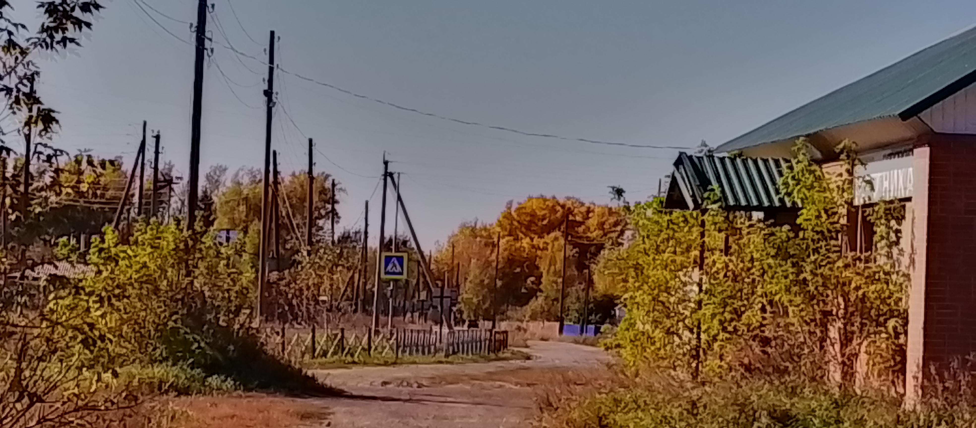 Красота