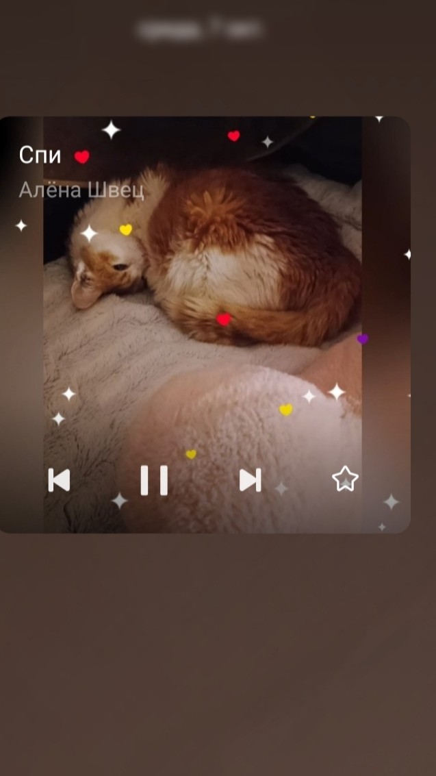 Чат