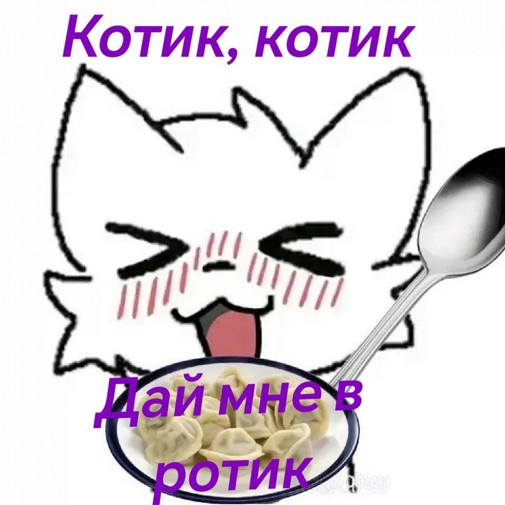 Чат