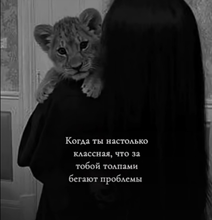Чат