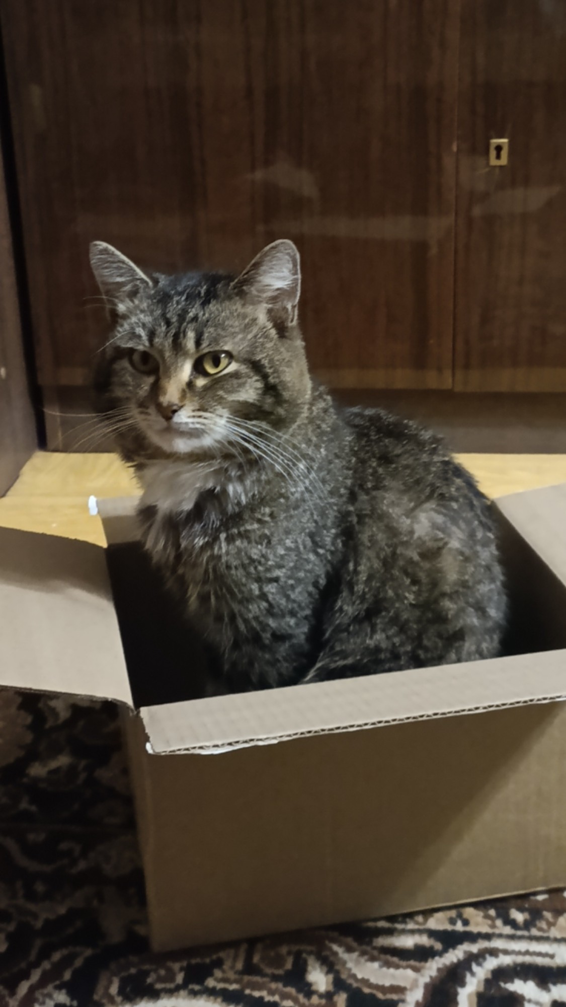 Мой малыш  🐱