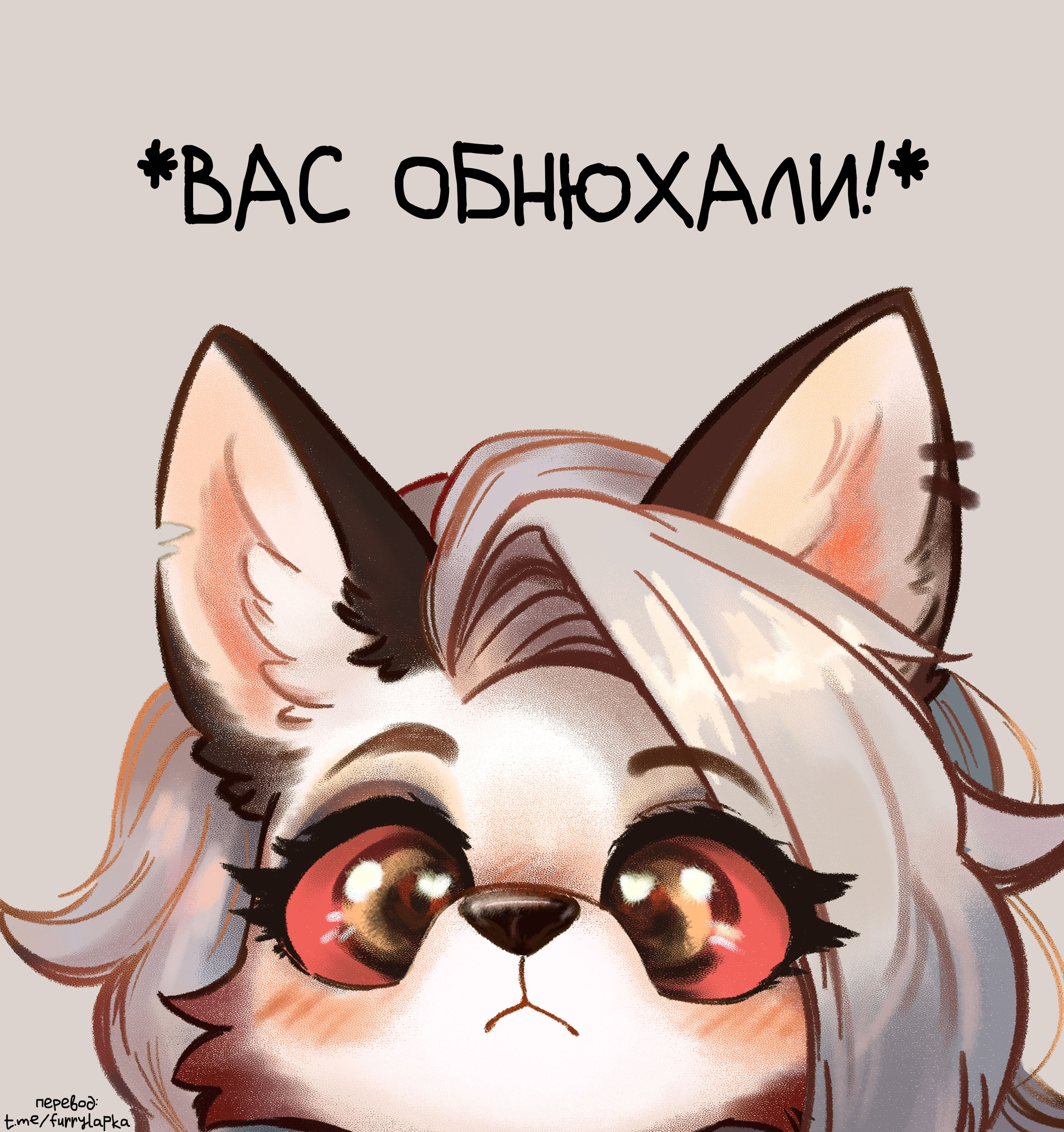 Чат
