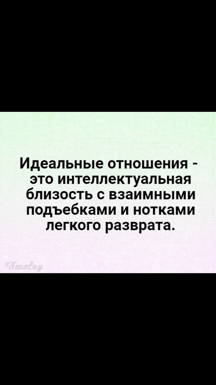 Чат