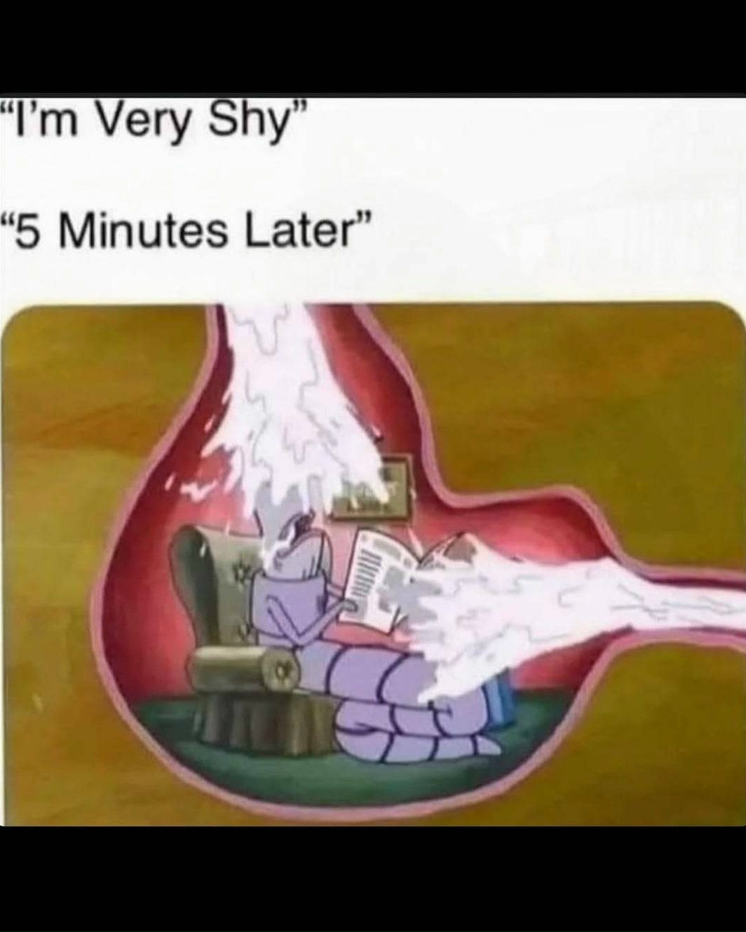 Чат