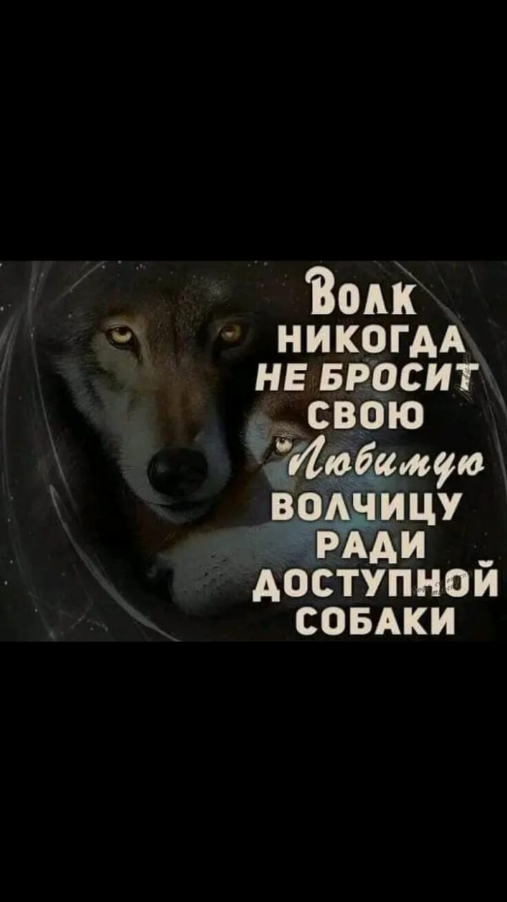 Чат