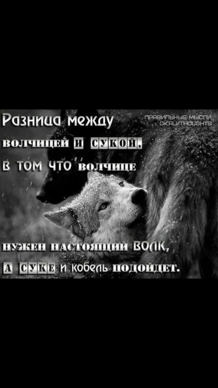 Чат