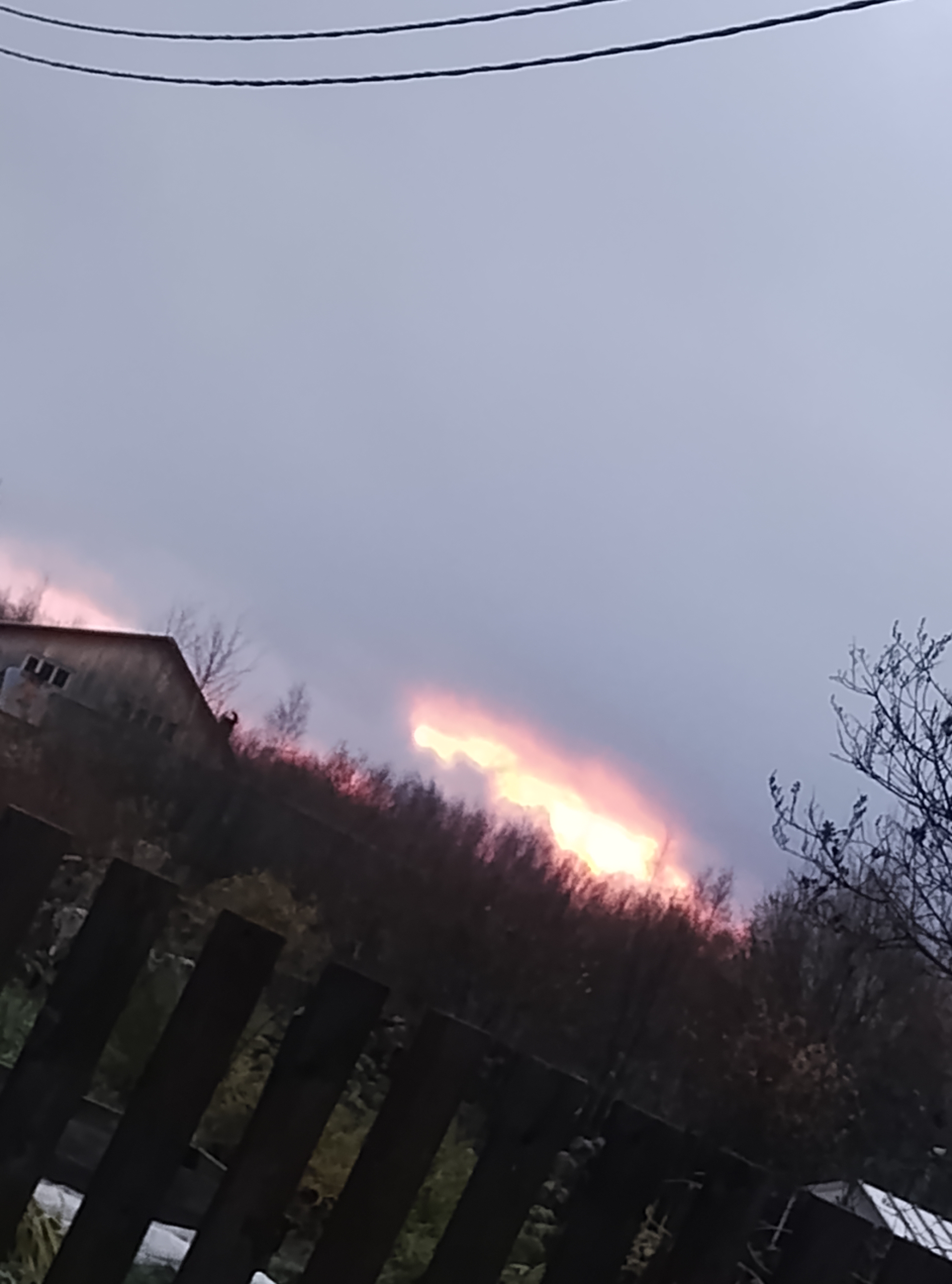 Чат