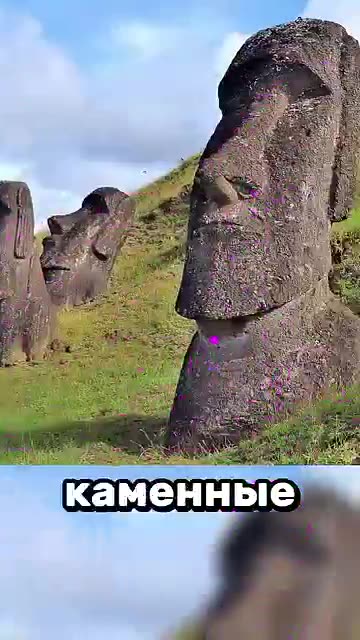 Чат