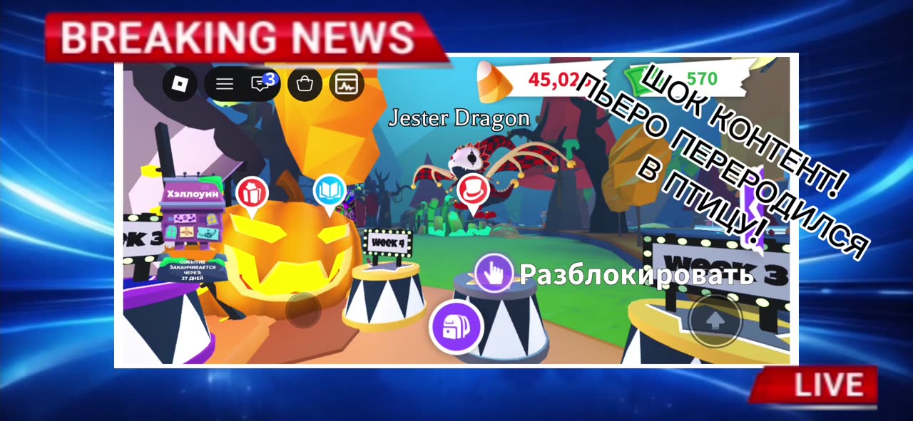 Чат