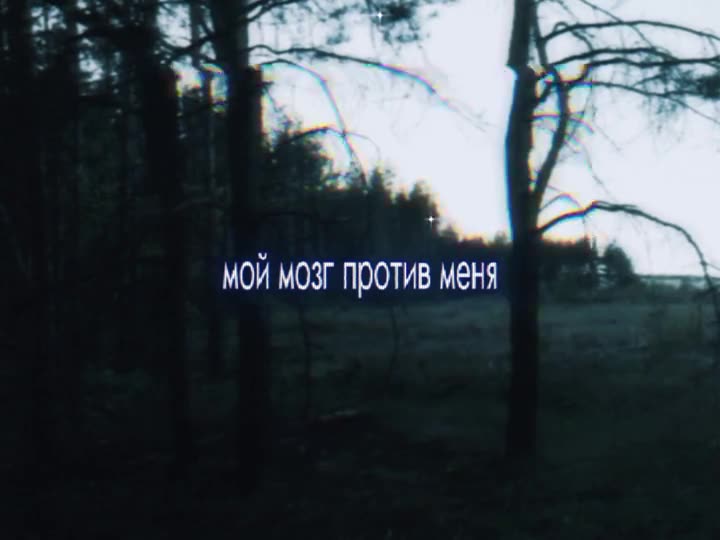 Чат