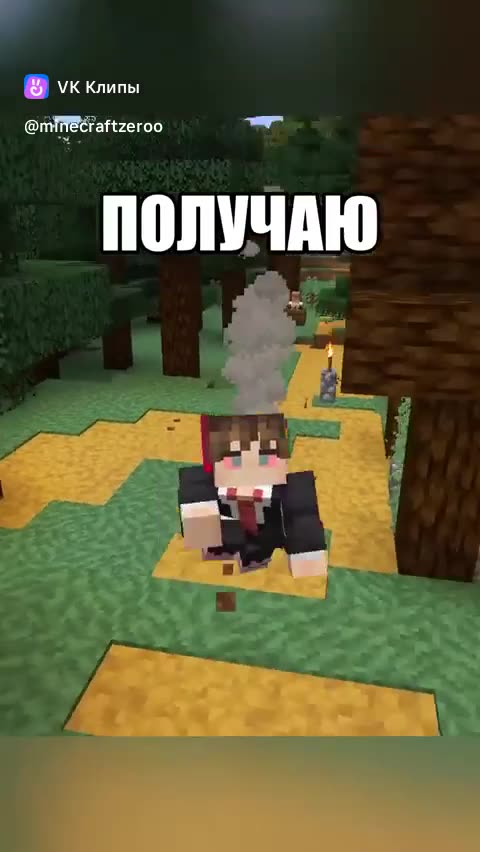 Куст
