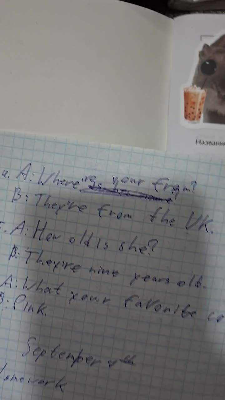 Чат