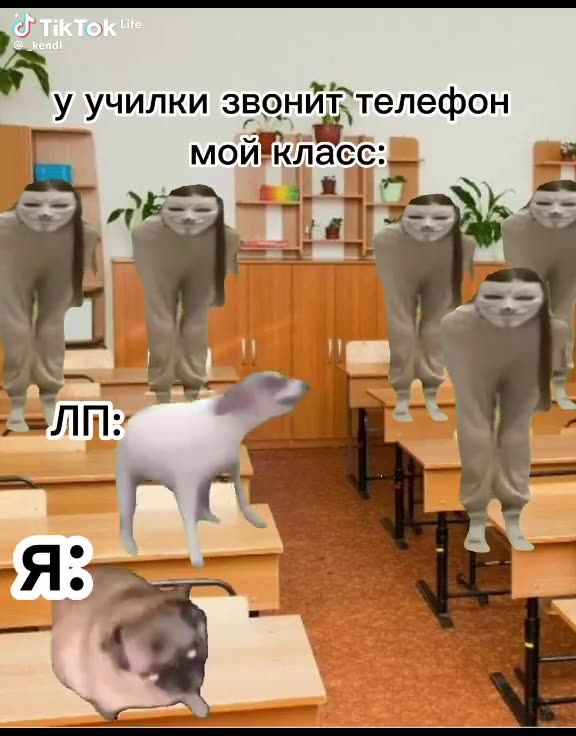 Чат