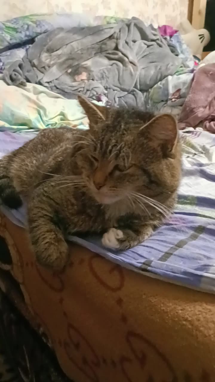 Мой малыш